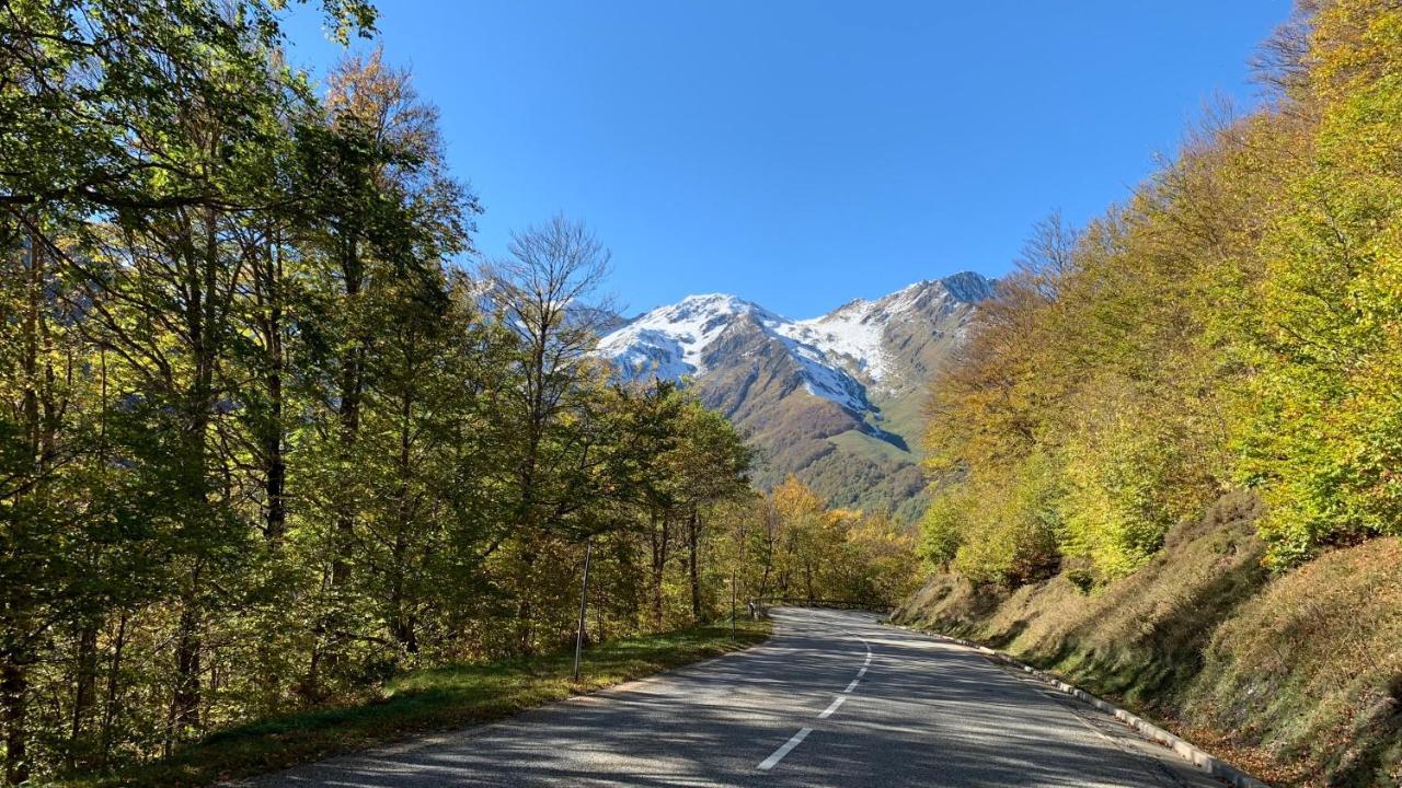 Residence Poste & Golf, Appartement Pour 4 Personnes Au Coeur De Luchon Bagnères-de-Luchon Eksteriør billede